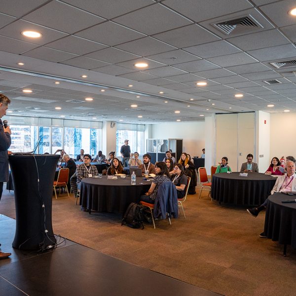 Energia Distrital 2025-009