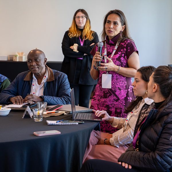 Energia Distrital 2025-046