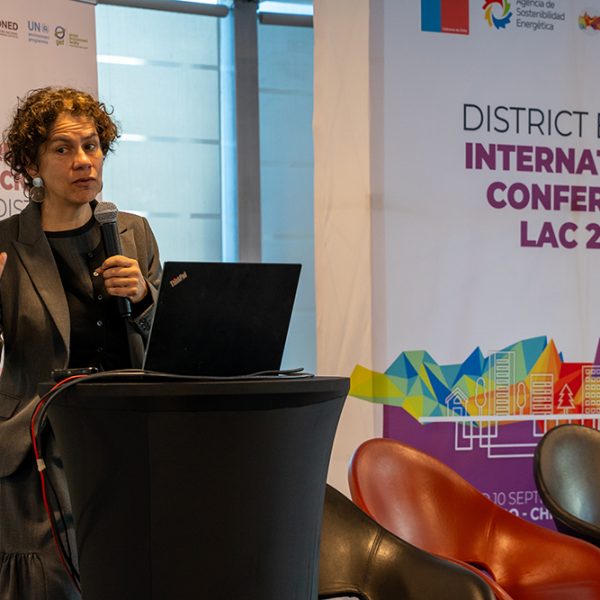 Energia Distrital 2025-117