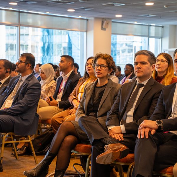 Energia Distrital 2025-136