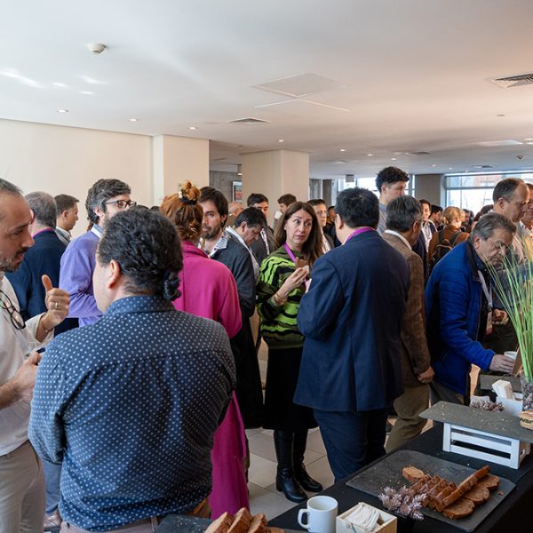 Energia Distrital 2025-202